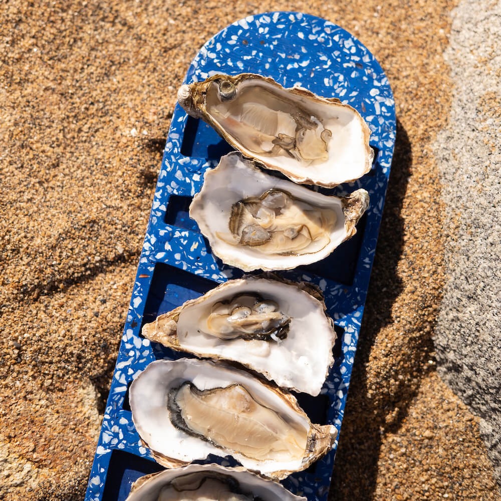 Plateau à huîtres La Demie Douzaine en coquillages revalorisés – Image 8
