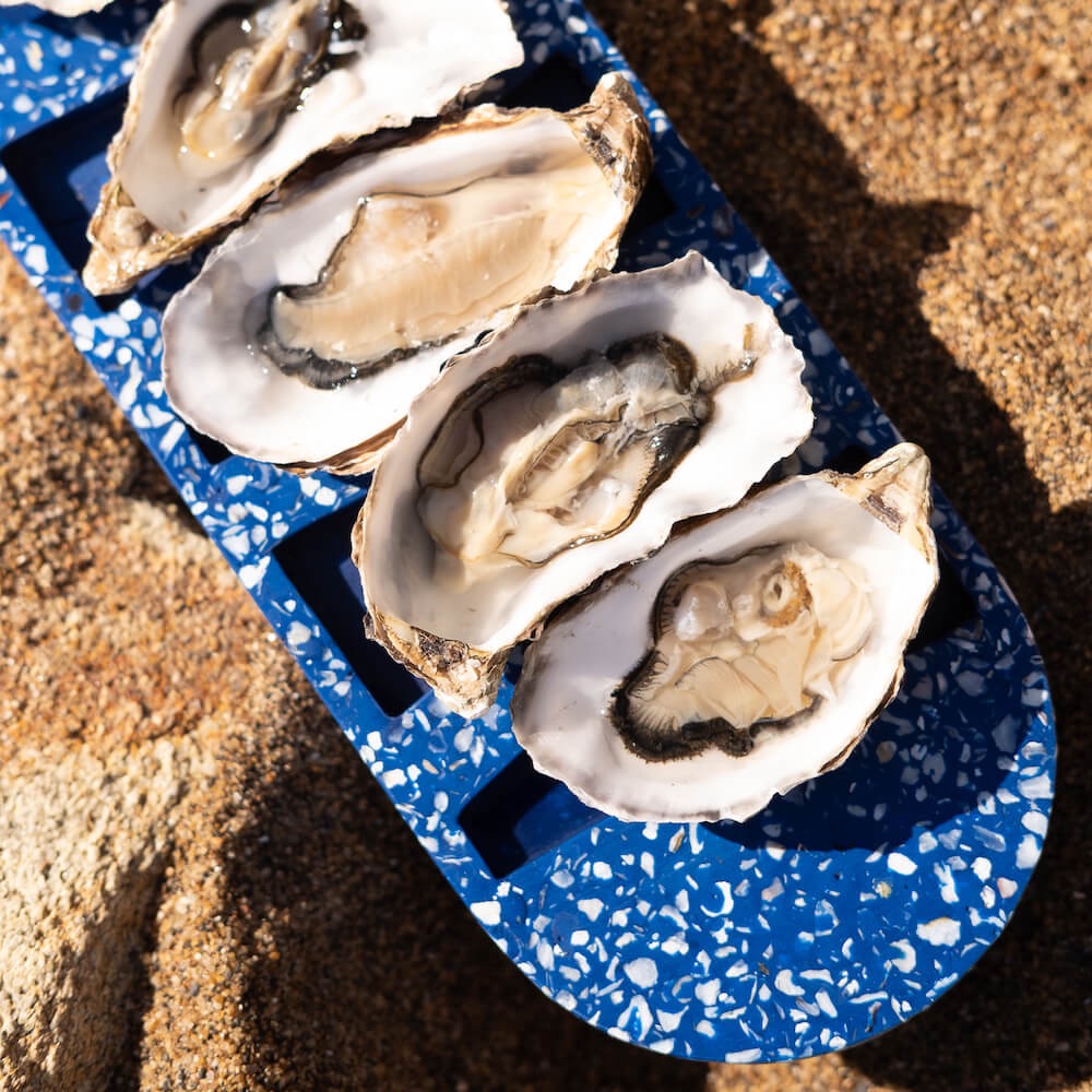 Plateau à huîtres La Demie Douzaine en coquillages revalorisés – Image 9