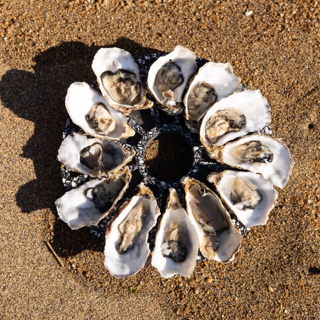 Plateau à huîtres La Douzaine en coquillages revalorisés – Image 15