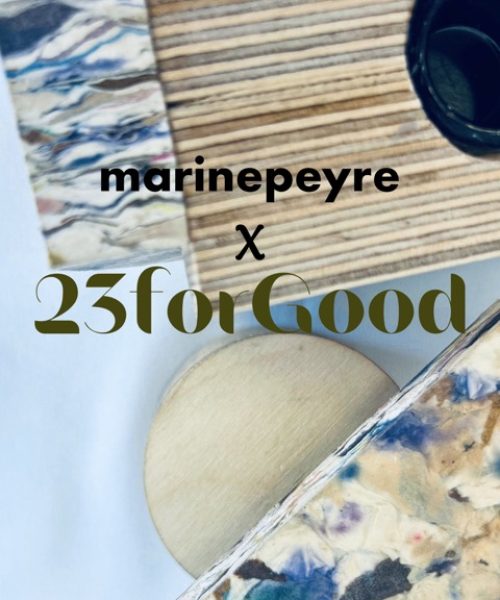 collaboration marine peyre